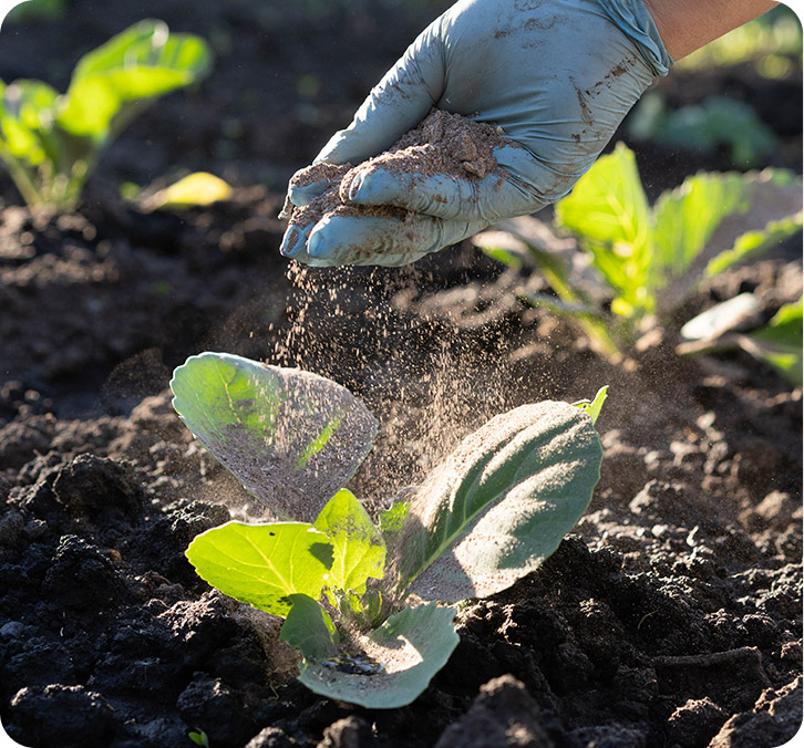 Fertilizantes e Foliares