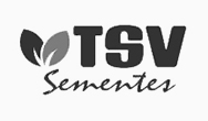 TSV Sementes